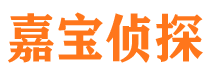 武侯侦探调查公司